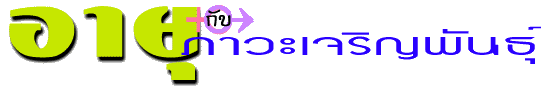 ���ءѺ������ԭ�ѹ���