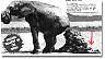 elephant.jpg