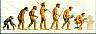evolut.jpg